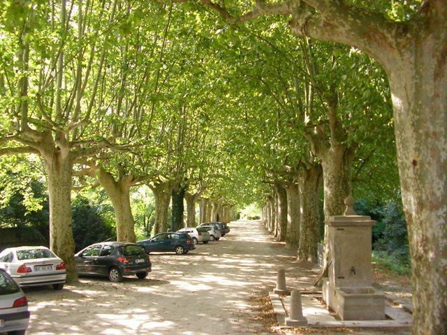 Chateau De Saint Michel De Lanes エクステリア 写真