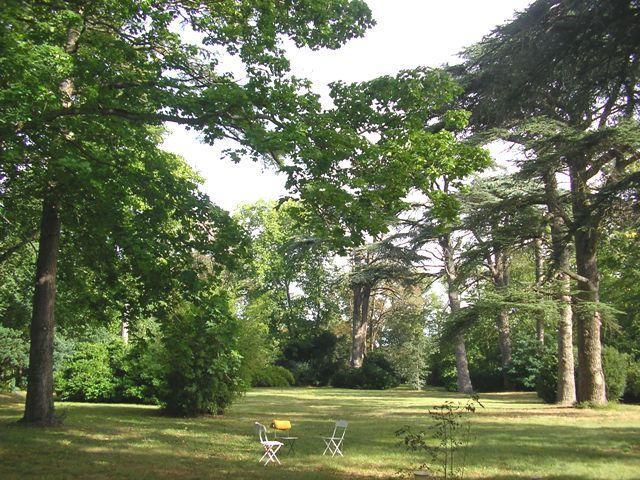 Chateau De Saint Michel De Lanes エクステリア 写真